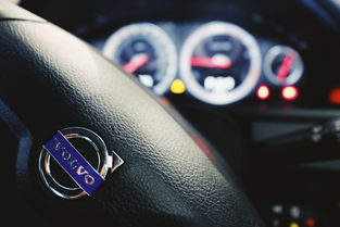 10大热血汽车品牌，速度与激情的终极指南