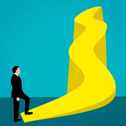 杨浦区电商品牌设计全解析，从案例到趋势，手把手教你打造爆款