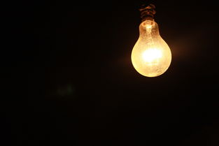 2023年最火爆的灯具品牌排名前十！看完这篇你不再纠结买什么灯