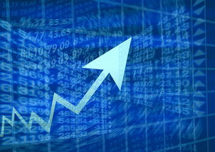 花呗如何兑现金支付，全面指南与实用技巧