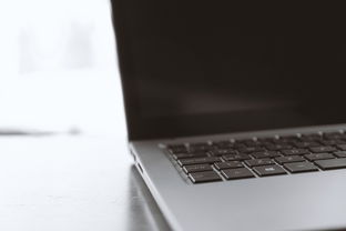 2023手提式电脑品牌排行榜全解析，哪款笔记本才是你的菜？