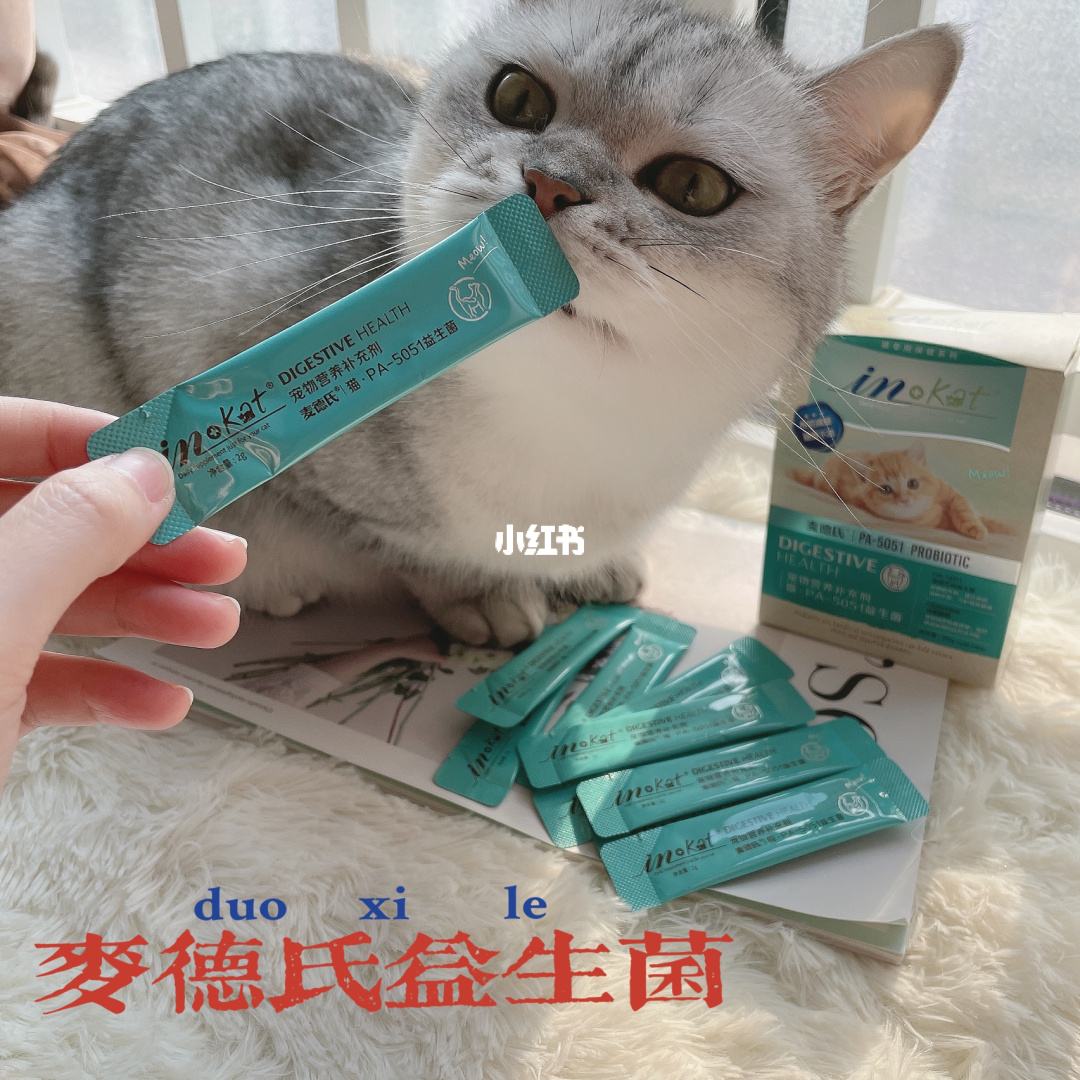 益生菌喂猫的作用大吗视频 益生菌给猫咪怎么服用比较好
