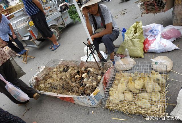 大集上摆摊卖什么好 大集上摆摊卖什么好呢