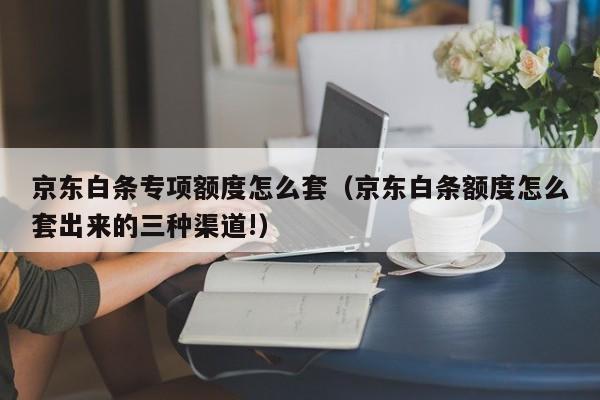 京东白条专项额度怎么套（京东白条额度怎么套出来的三种渠道!）