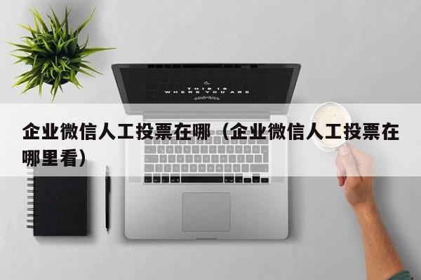 企业微信人工投票在哪（企业微信人工投票在哪里看）