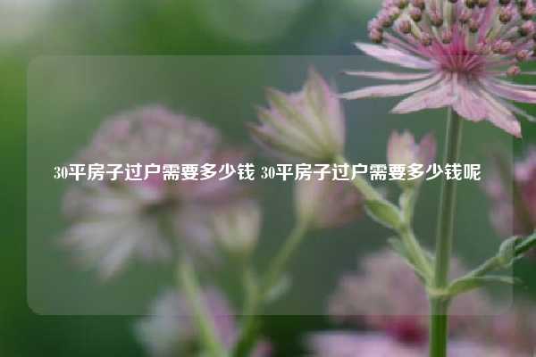 30平房子过户需要多少钱 30平房子过户需要多少钱呢