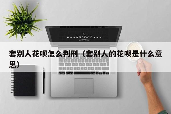 套别人花呗怎么判刑（套别人的花呗是什么意思）