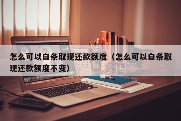 怎么可以白条取现还款额度（怎么可以白条取现还款额度不变）