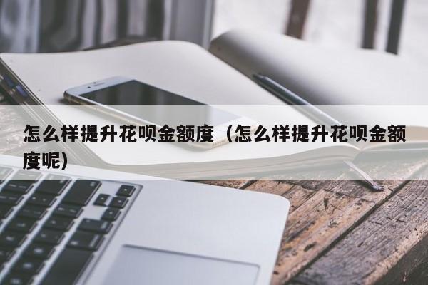 怎么样提升花呗金额度（怎么样提升花呗金额度呢）