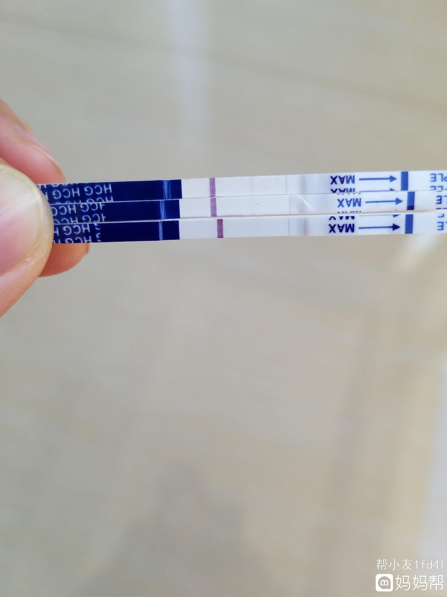 受孕几天能测出来怀孕试纸 受孕几天能用试纸测出来是否怀孕