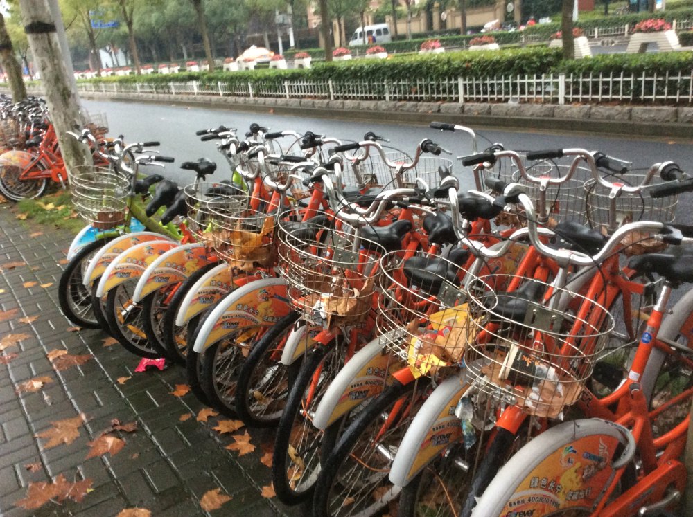 十大冷门暴利生意糯草学堂 2023十大冷门暴利生意排行榜
