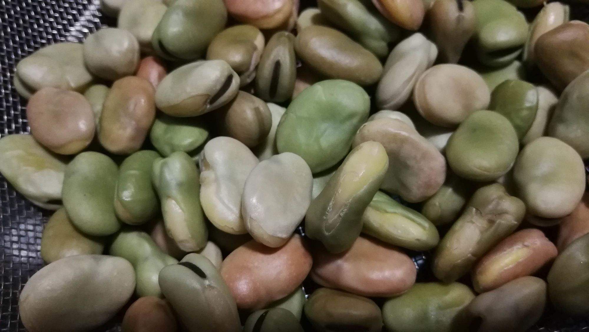 有壳冻蚕豆怎么做好吃 有壳冻蚕豆怎么做好吃又简单