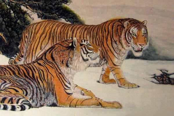 86年的虎五行属什么 86年的虎五行属什么幸运数字是什么