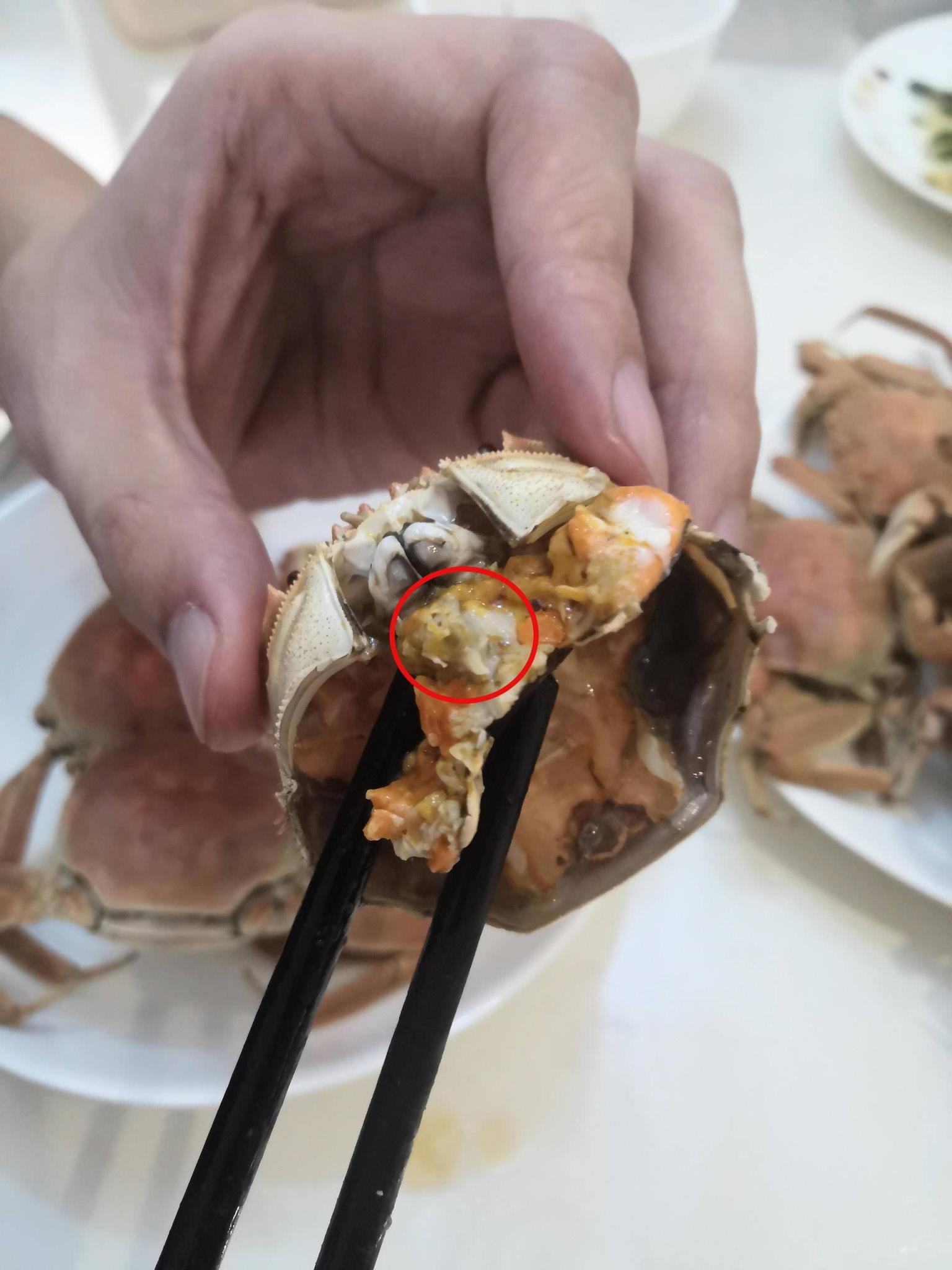 河蟹怎么吃好吃 河蟹怎么吃好吃视频