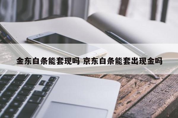 金东白条能套现吗 京东白条能套出现金吗