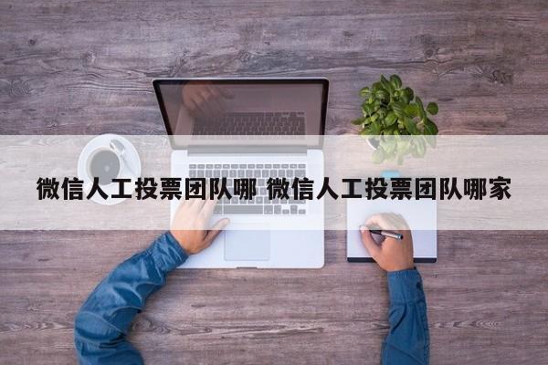 微信人工投票团队哪 微信人工投票团队哪家