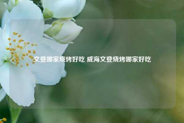 文登哪家烧烤好吃 威海文登烧烤哪家好吃