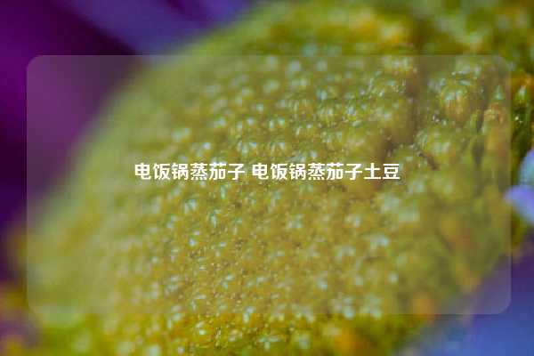 电饭锅蒸茄子 电饭锅蒸茄子土豆