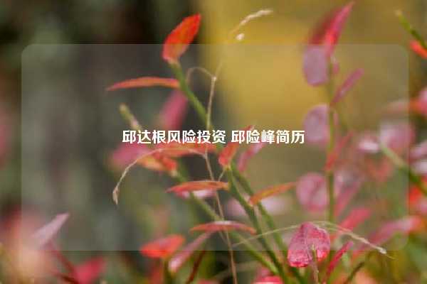 邱达根风险投资 邱险峰简历