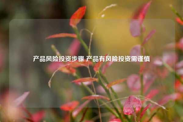 产品风险投资步骤 产品有风险投资需谨慎