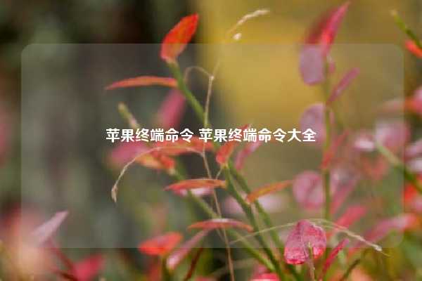 苹果终端命令 苹果终端命令大全