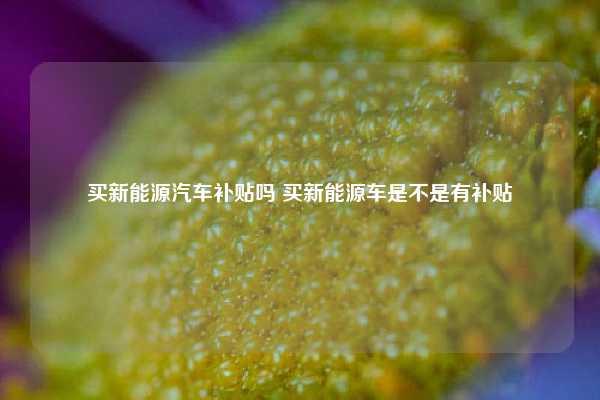 买新能源汽车补贴吗 买新能源车是不是有补贴
