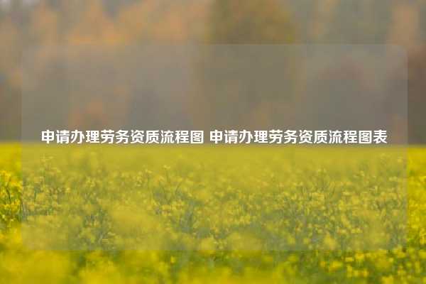 申请办理劳务资质流程图 申请办理劳务资质流程图表