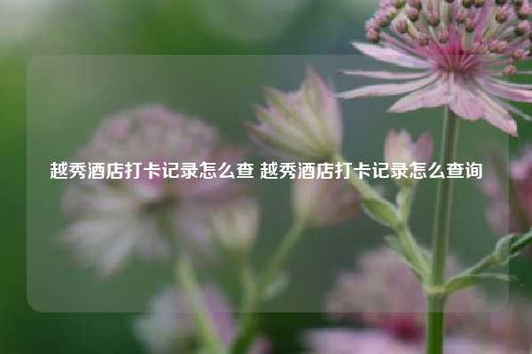 越秀酒店打卡记录怎么查 越秀酒店打卡记录怎么查询