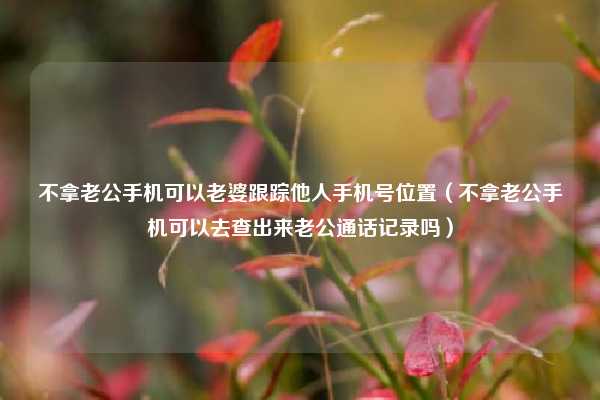 不拿老公手机可以老婆跟踪他人手机号位置（不拿老公手机可以去查出来老公通话记录吗）